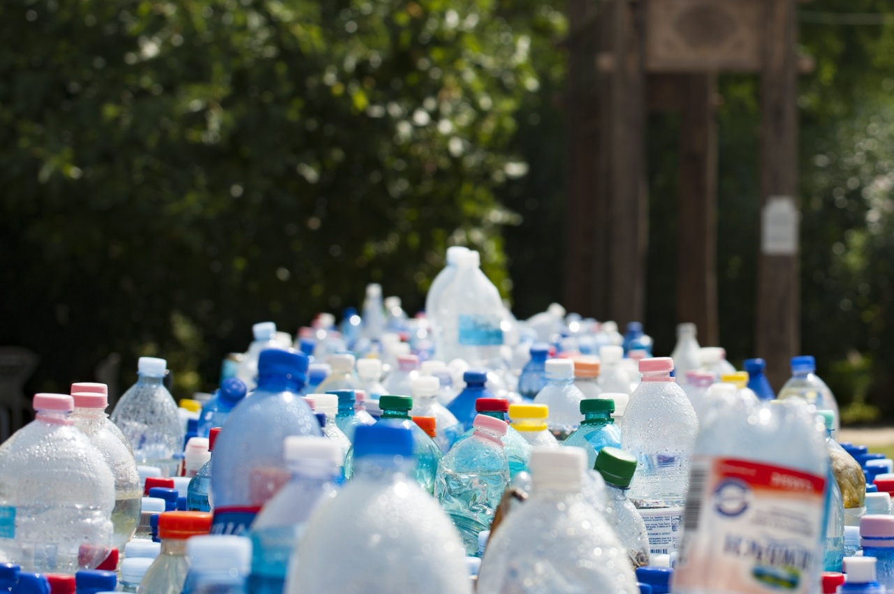 The Dangers of Reusing Plastic Bottles RosyCheeked